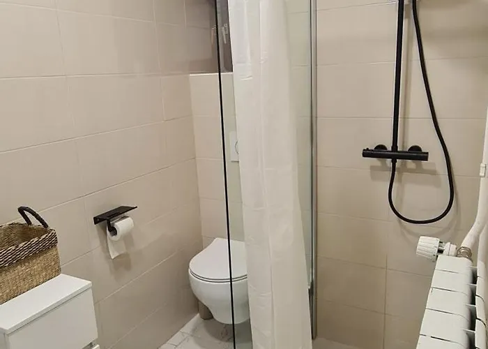 Apartma Domenika Διαμέρισμα Πτούι